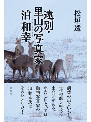 cover image of 遠別・里山の写真家泊和幸